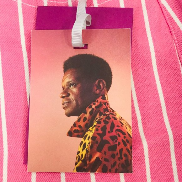 Victor Glemaud Women's Size 4 High Rise Mini Jean Skirt Pink Pinstripe New - Picture 4 of 11